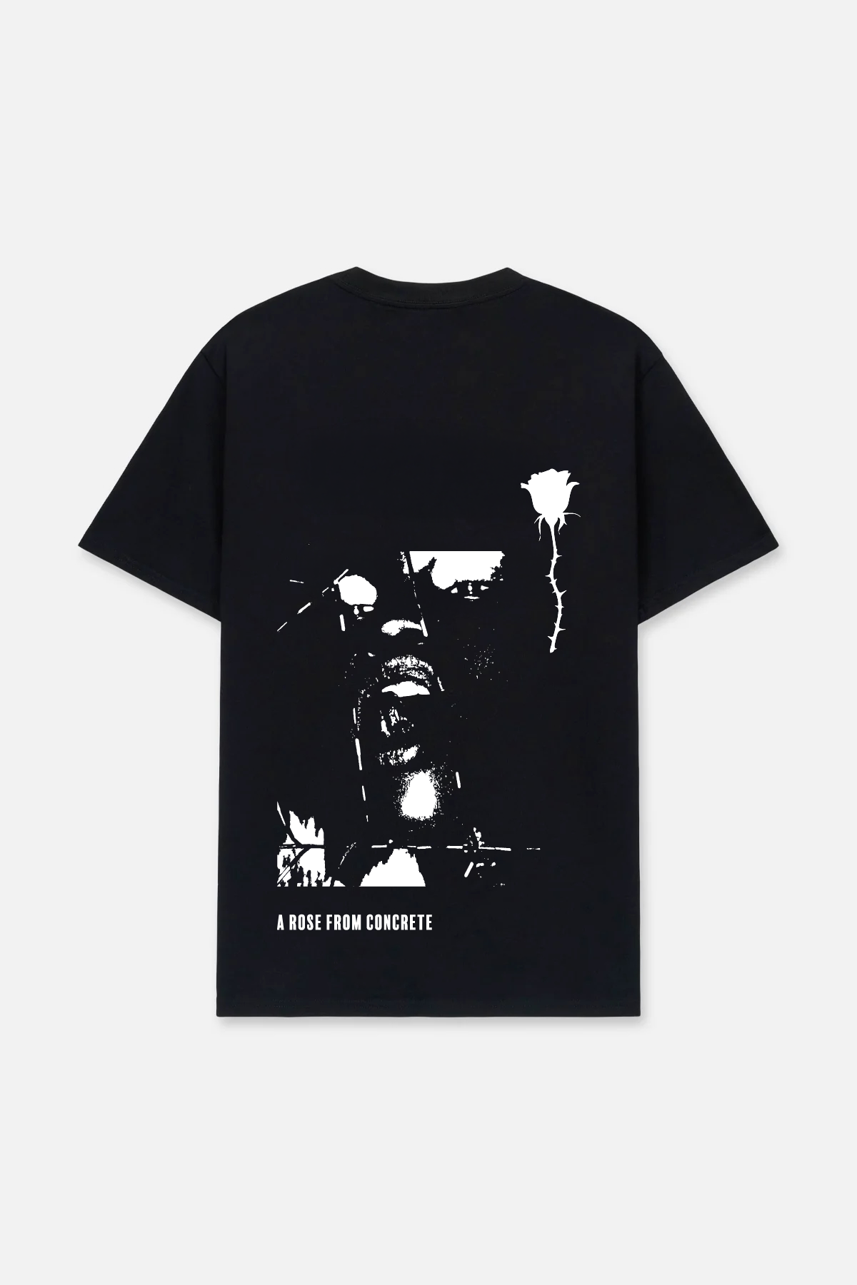 LIAM SHORT SLEEVE TEE | BLACK ROSE - Image 5